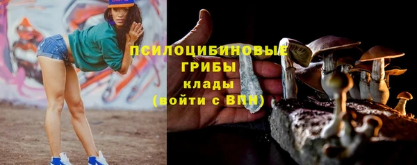 а пвп мука Магас