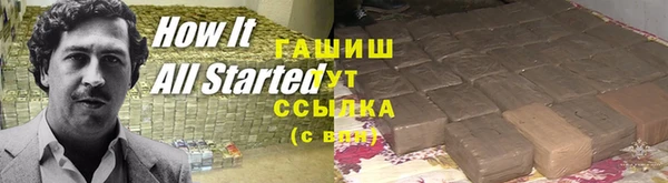 индика Мегион