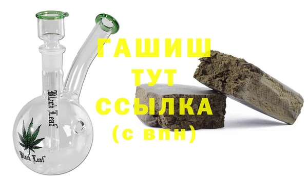индика Мегион
